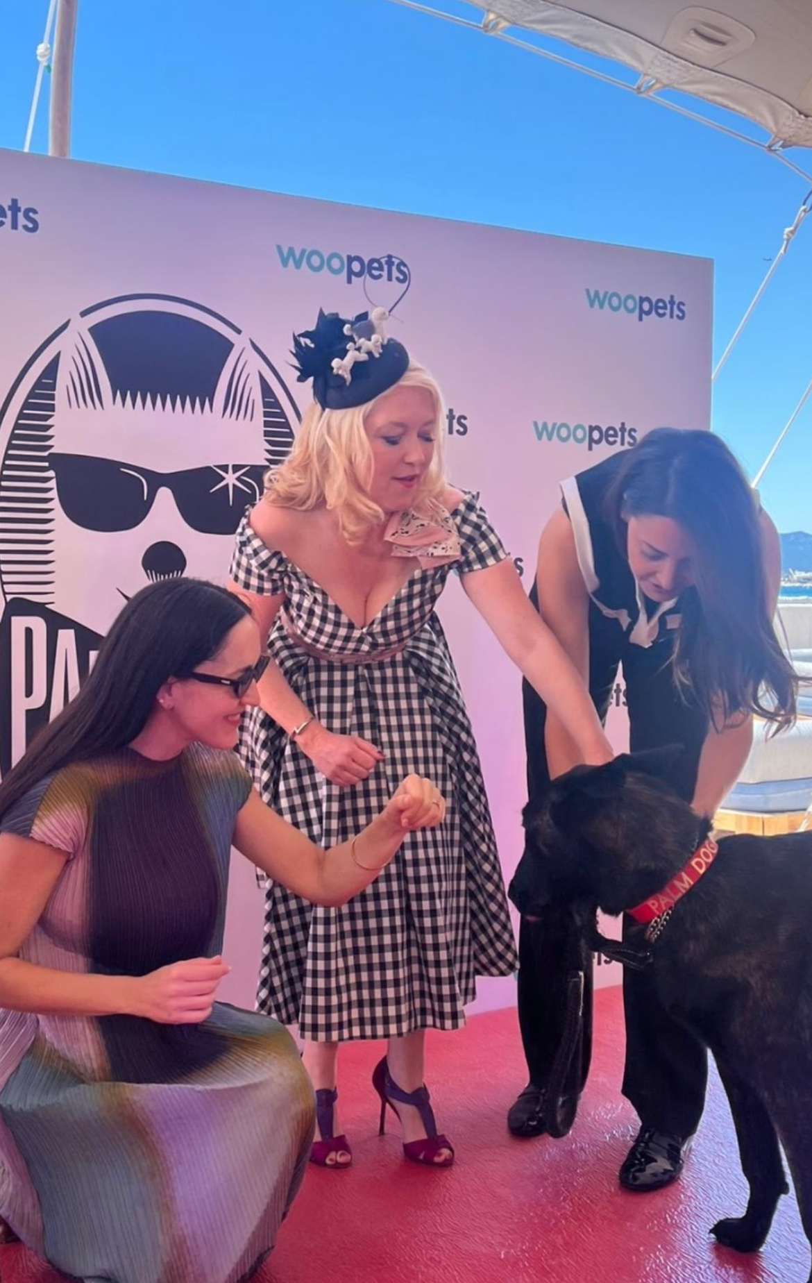 Вручення Palm Dog Award.